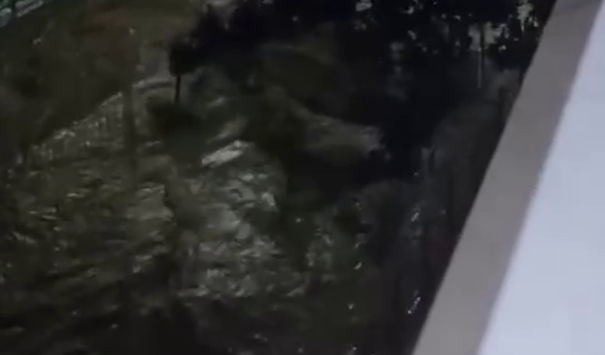 Kocaeli'de Sağanak Su Baskınlarına Yol Açtı