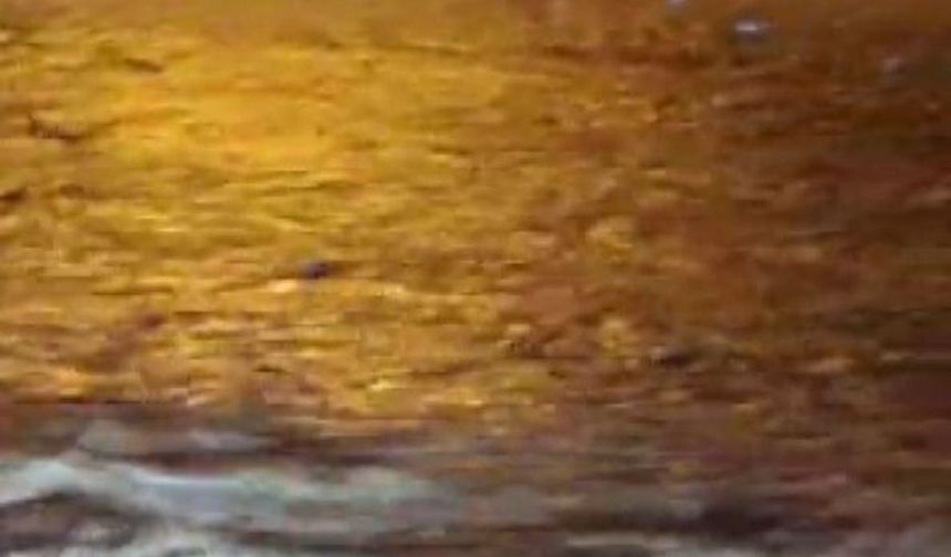 Sakarya'da şiddetli sağanak yolu kapattı