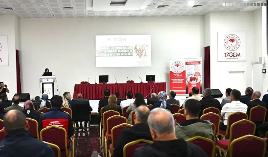 Kahramanmaraş'ta baharatlık kırmızı biber üretiminin sorunları ele alındı