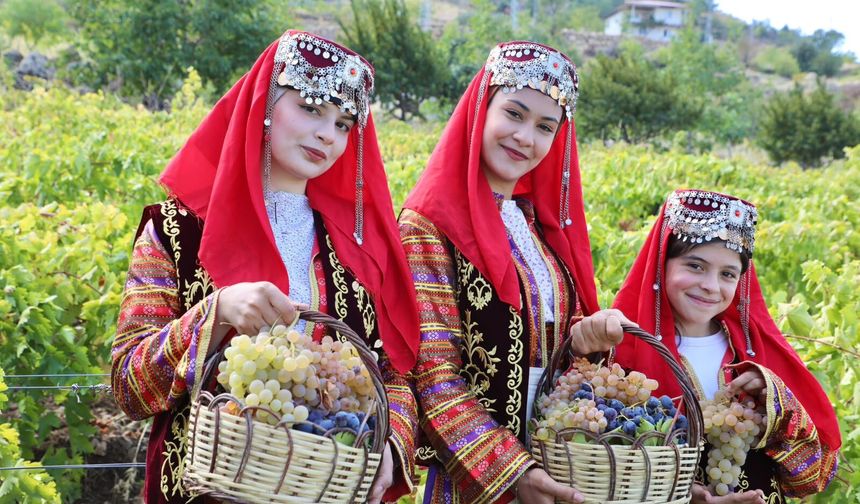 Kahramanmaraş’ta Yılların Geleneği Unutulmadı: Üzümler Toplandı