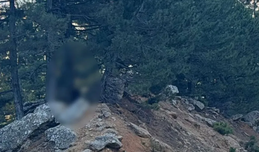 Kahramanmaraş'ta yol kenarında 24 yaşındaki gencin cansız bedeni bulundu