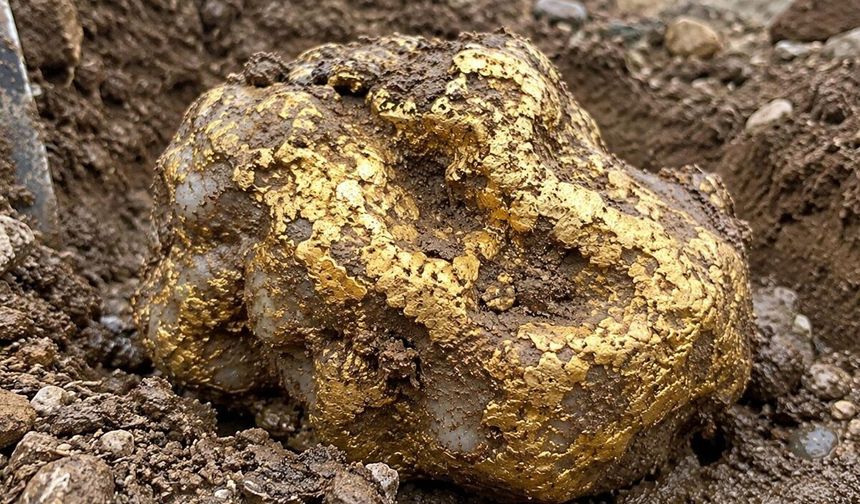 Kazı Yaparken Servet Buldu! 9 Kiloluk Altının Fiyatı Şaşırttı