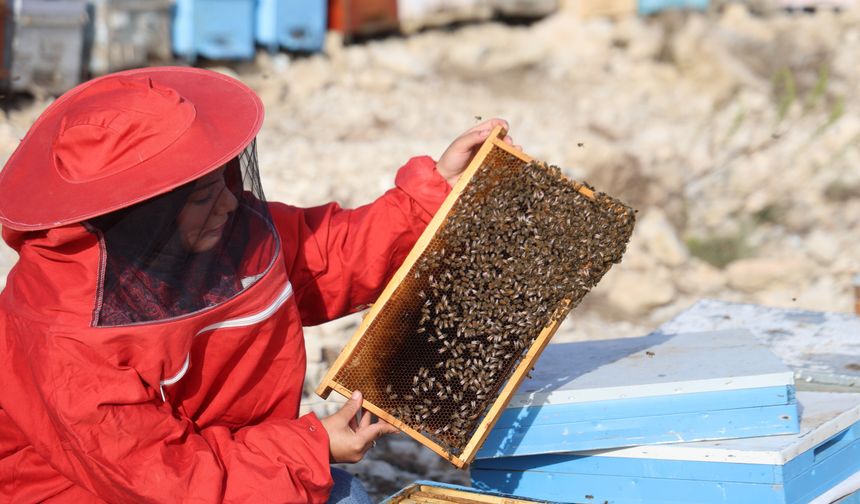Kahramanmaraş'ta arıcılara destek başvuruları sürüyor! Son tarih 30 Ekim