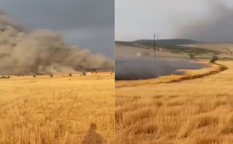 Kahramanmaraş'ta Buğday Tarlası Alevlere Teslim Oldu
