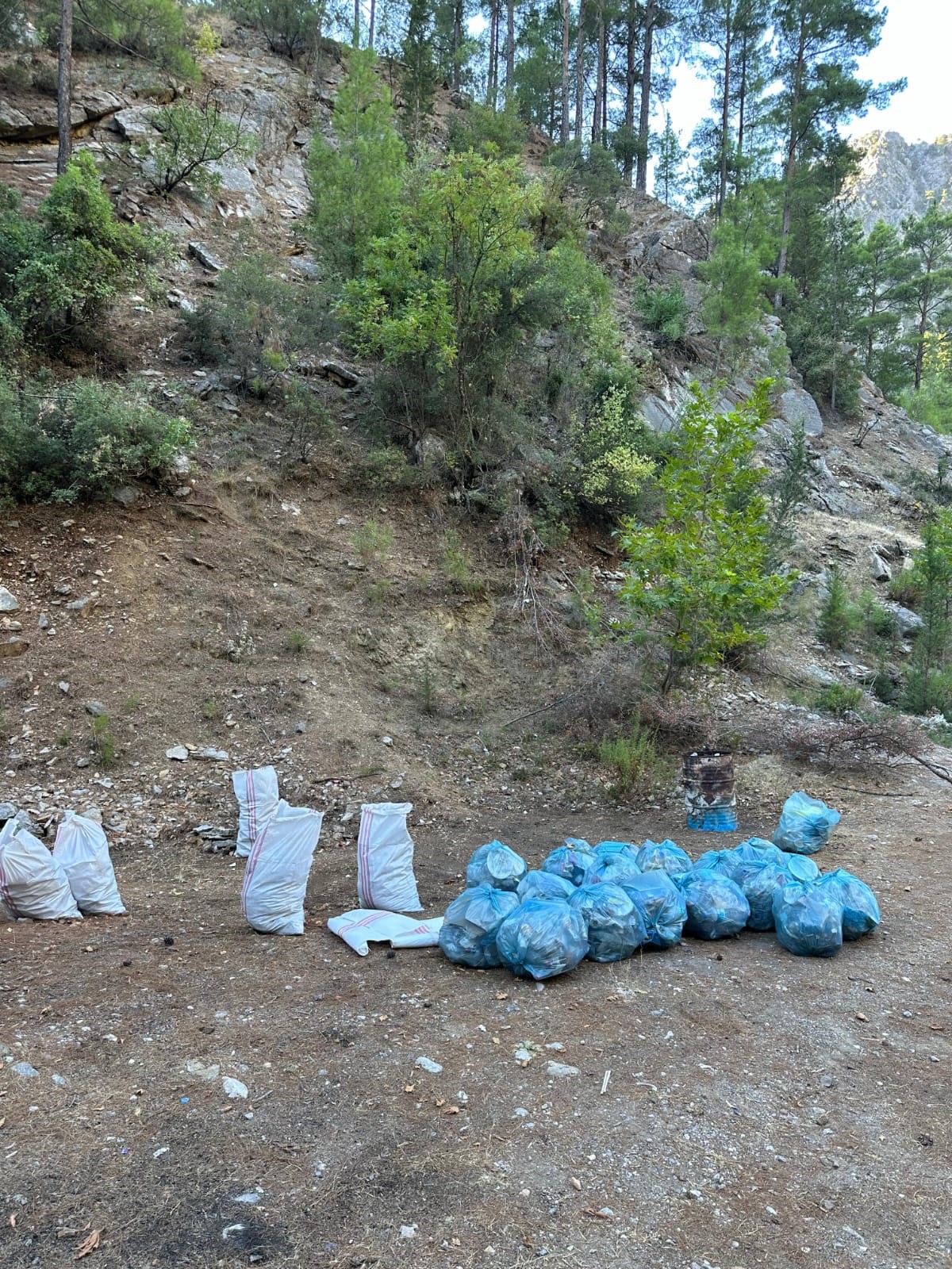 Piknik Yapanların Ormanlık Alanda Bıraktığı Çöpleri Temizledilerq