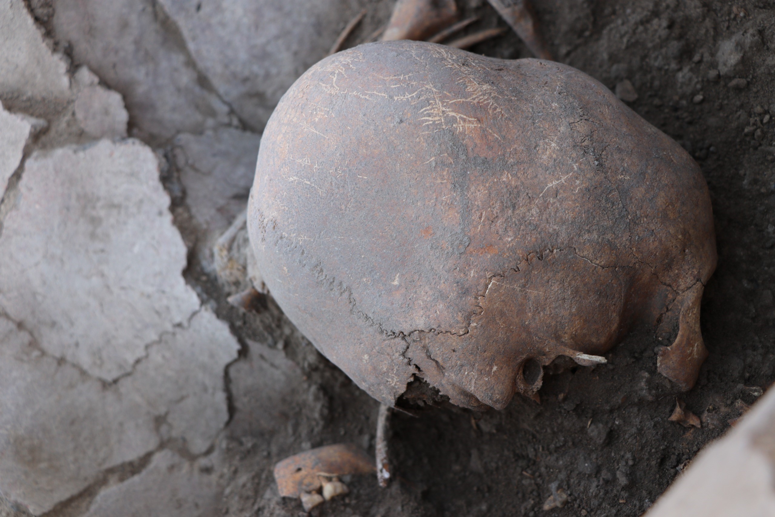 Yassıhöyük'te 6 Bin Yıllık Kafatası Bulundu (2)