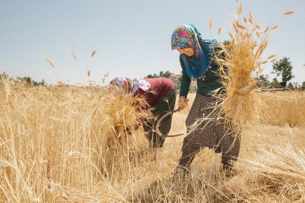 Binlerce Kadını Tarımla Buluştu (3)