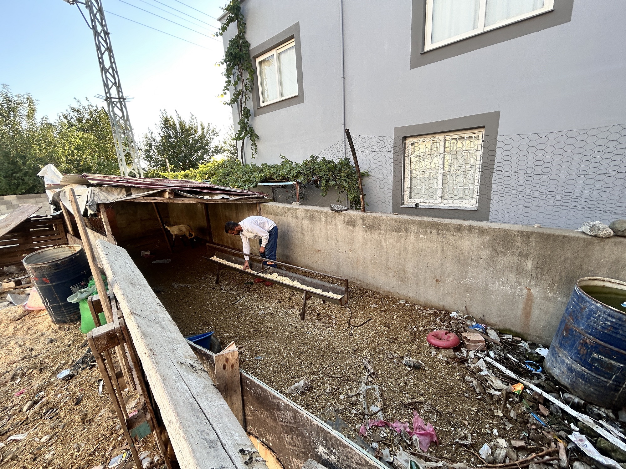 Depremzedenin 22 Hayvanı Çalındı Güvenlik Kameraları Olayı Kaydetti (2)