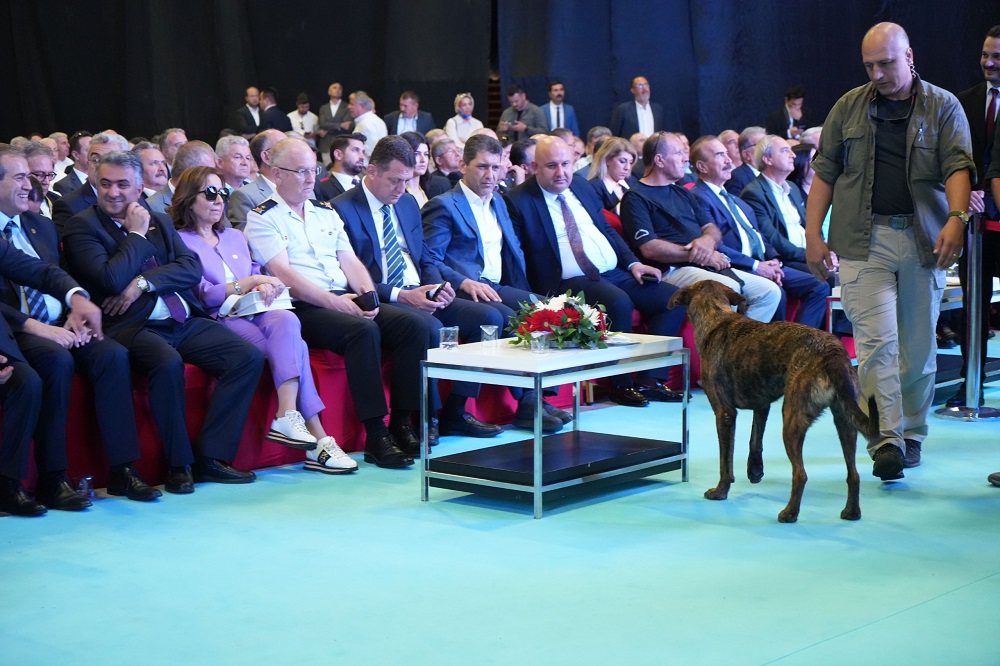 Fuar Alanına Girip Dron Kovalayan Köpek Gülümsetti (3)