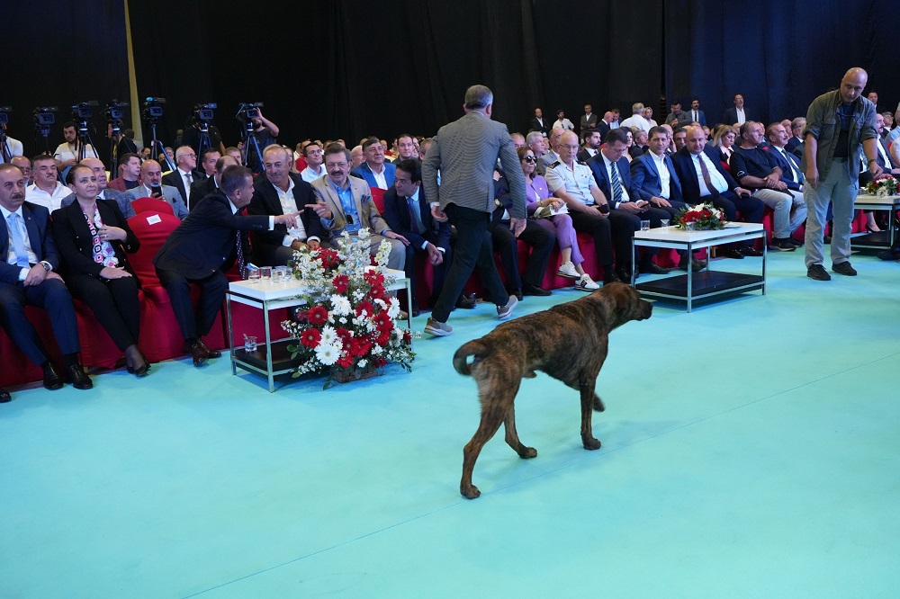 Fuar Alanına Girip Dron Kovalayan Köpek Gülümsetti (5)