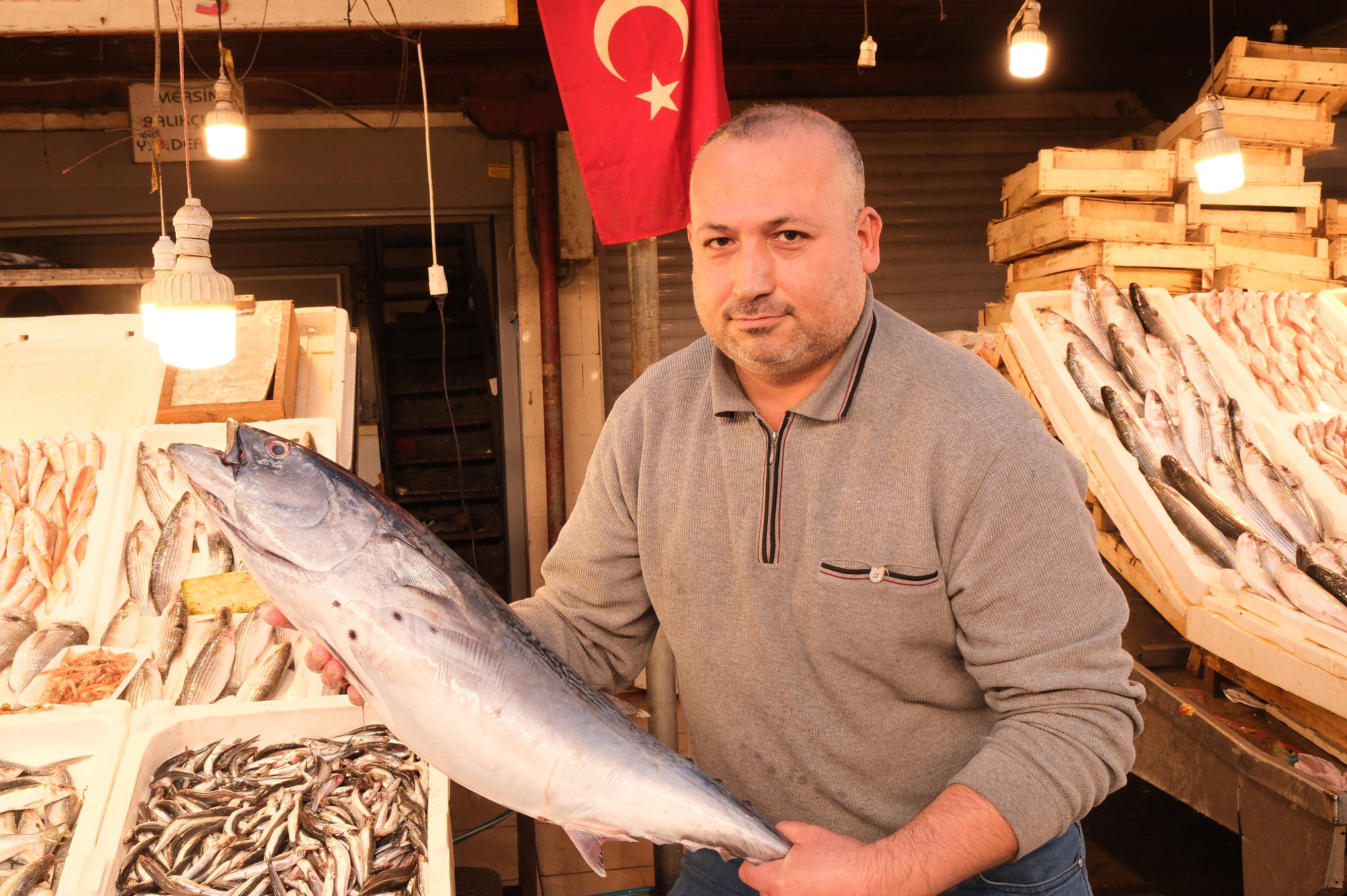 1 Metreyi Aşan Dev Torik Balığı 1500 Tl’ye Satıldı (2)