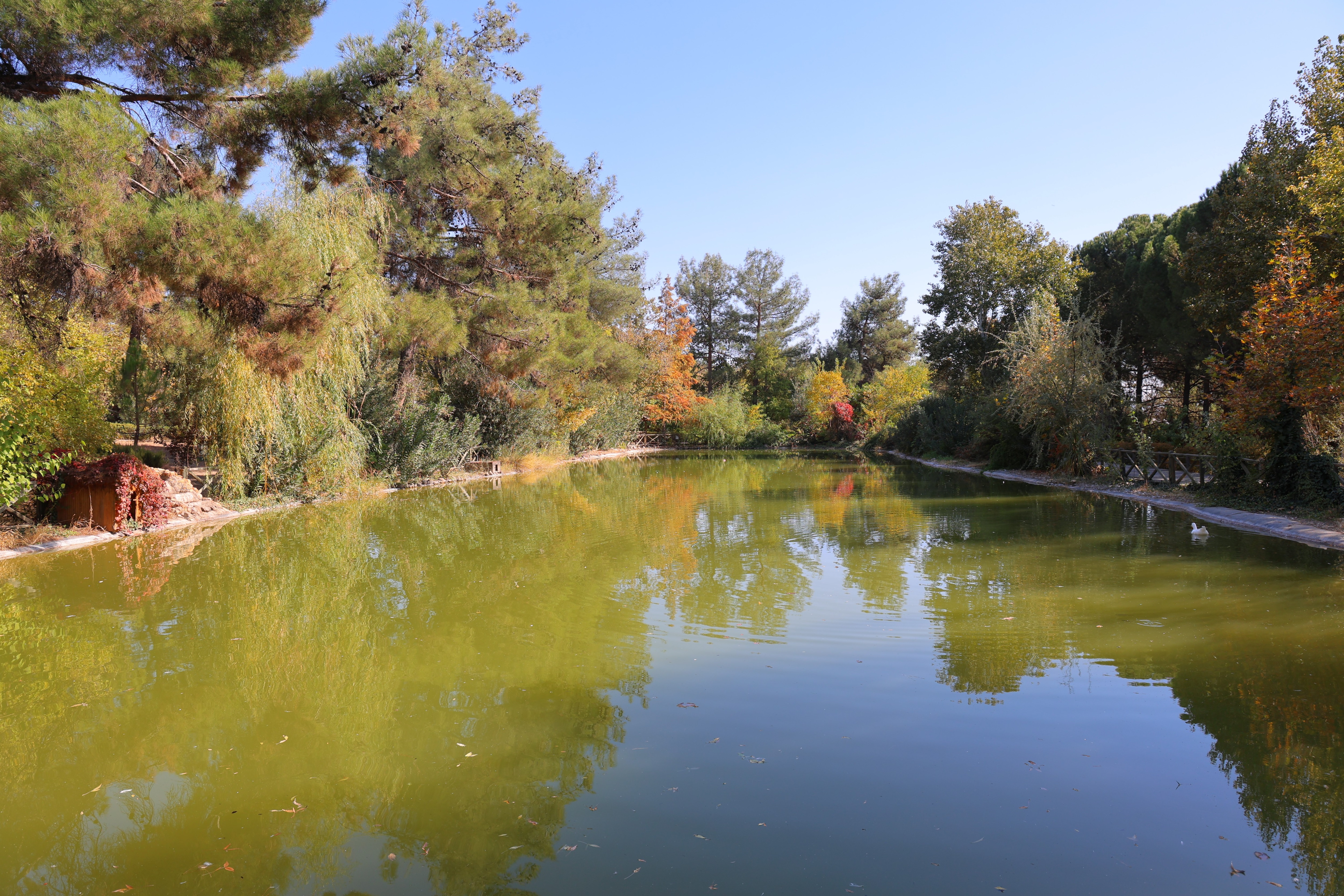 Kahramanmaraş'ta Düğün Fotoğrafları İçin Yeni Adres (4)