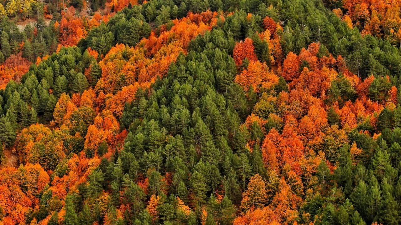 Kahramanmaraş’ta Fotoğrafçılar Sonbaharı Ölümsüzleştiriyor (3)