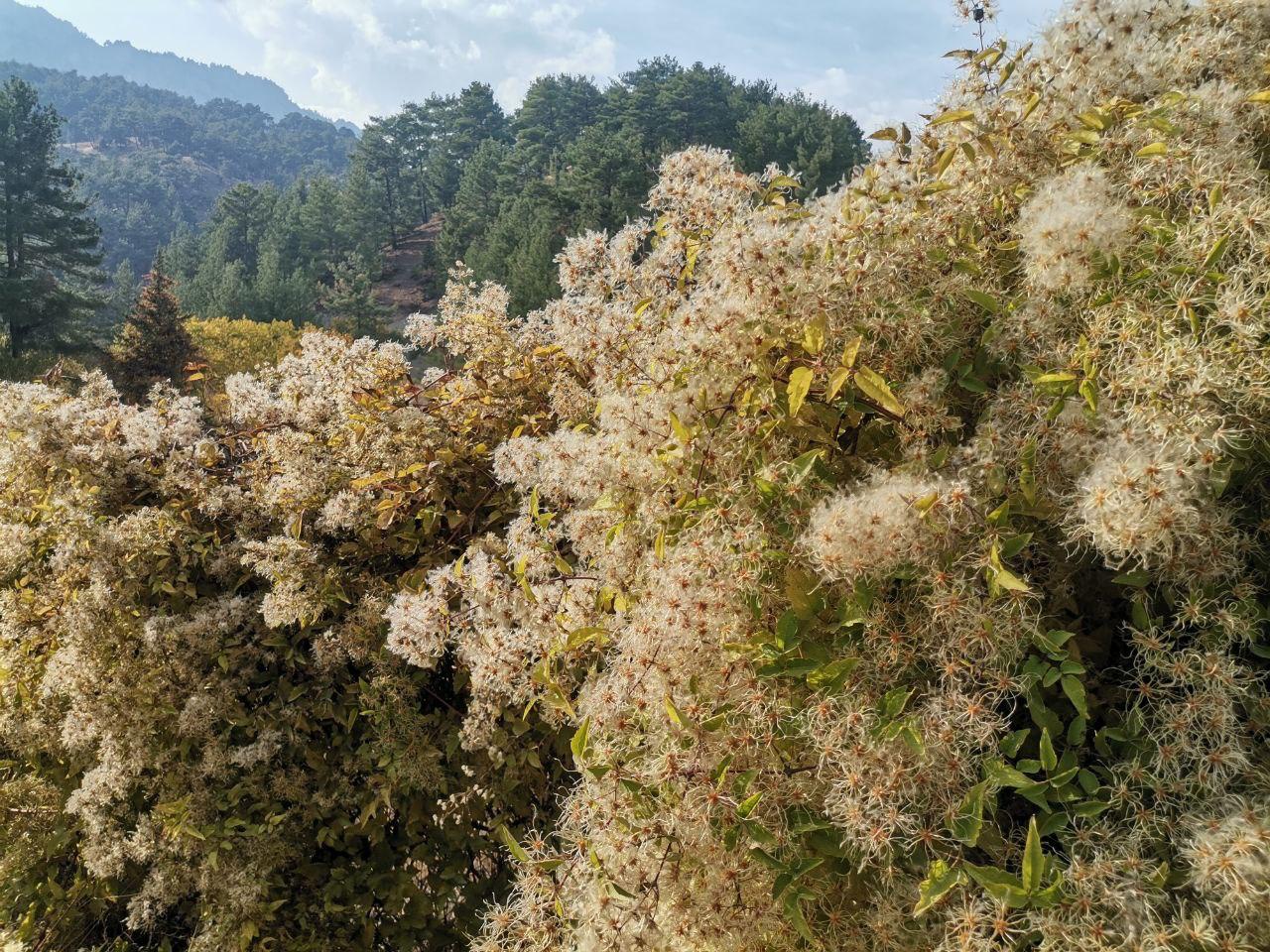 Kahramanmaraş’ta Fotoğrafçılar Sonbaharı Ölümsüzleştiriyor (6)