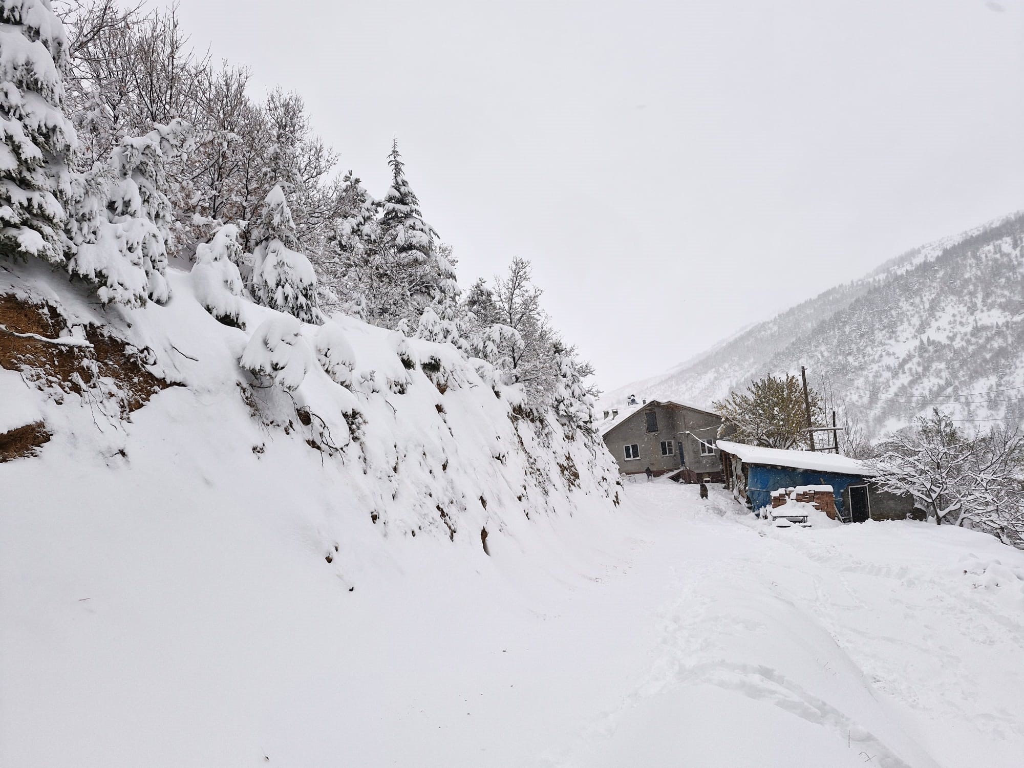 Kahramanmaraş'ta Kar Alarmı Kalınlığı 40 Santimetreyi Aştı (5)