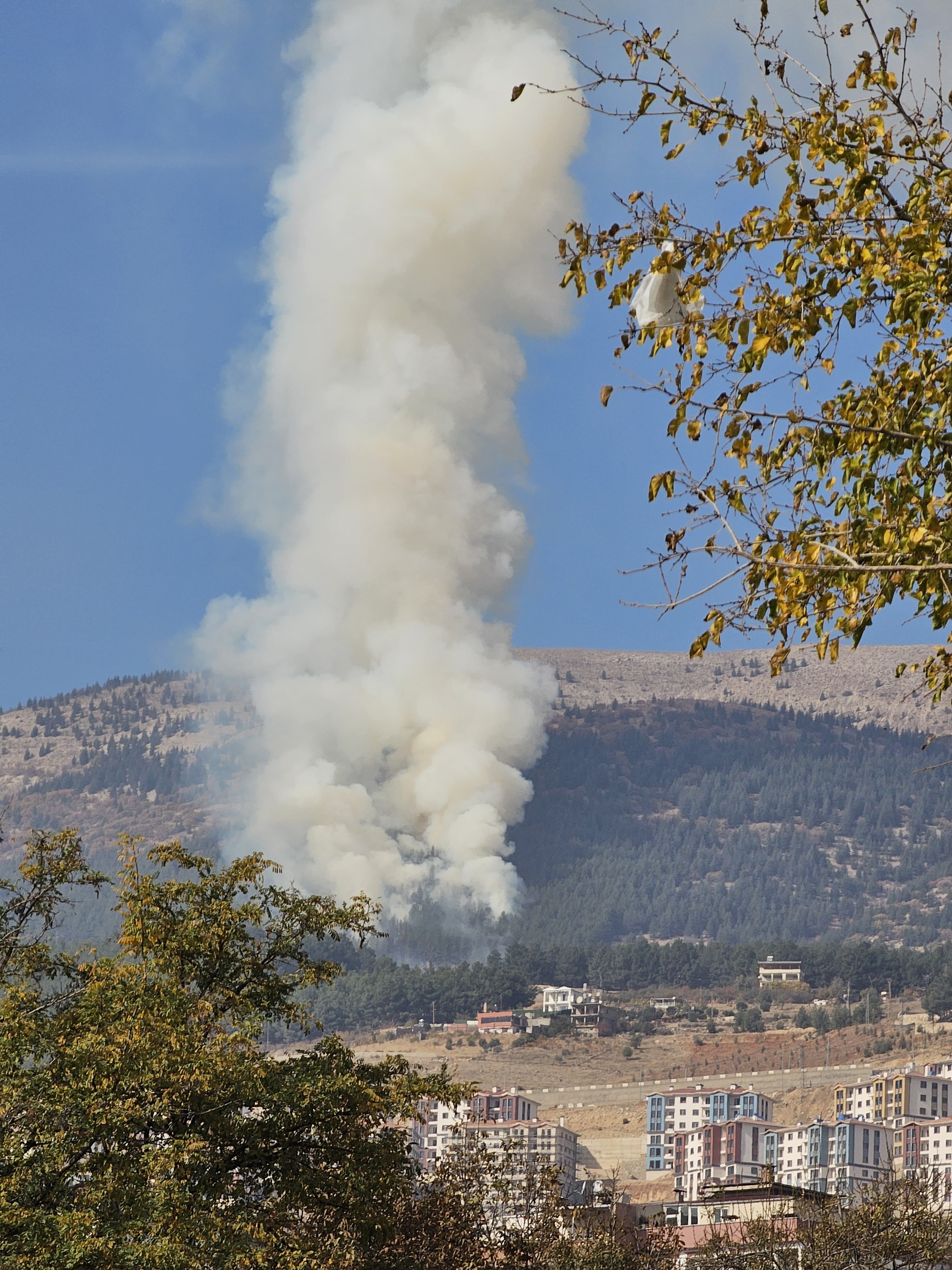 Kahramanmaraş'ta Orman Yangını Ekipler Müdahale Ediyor (3)