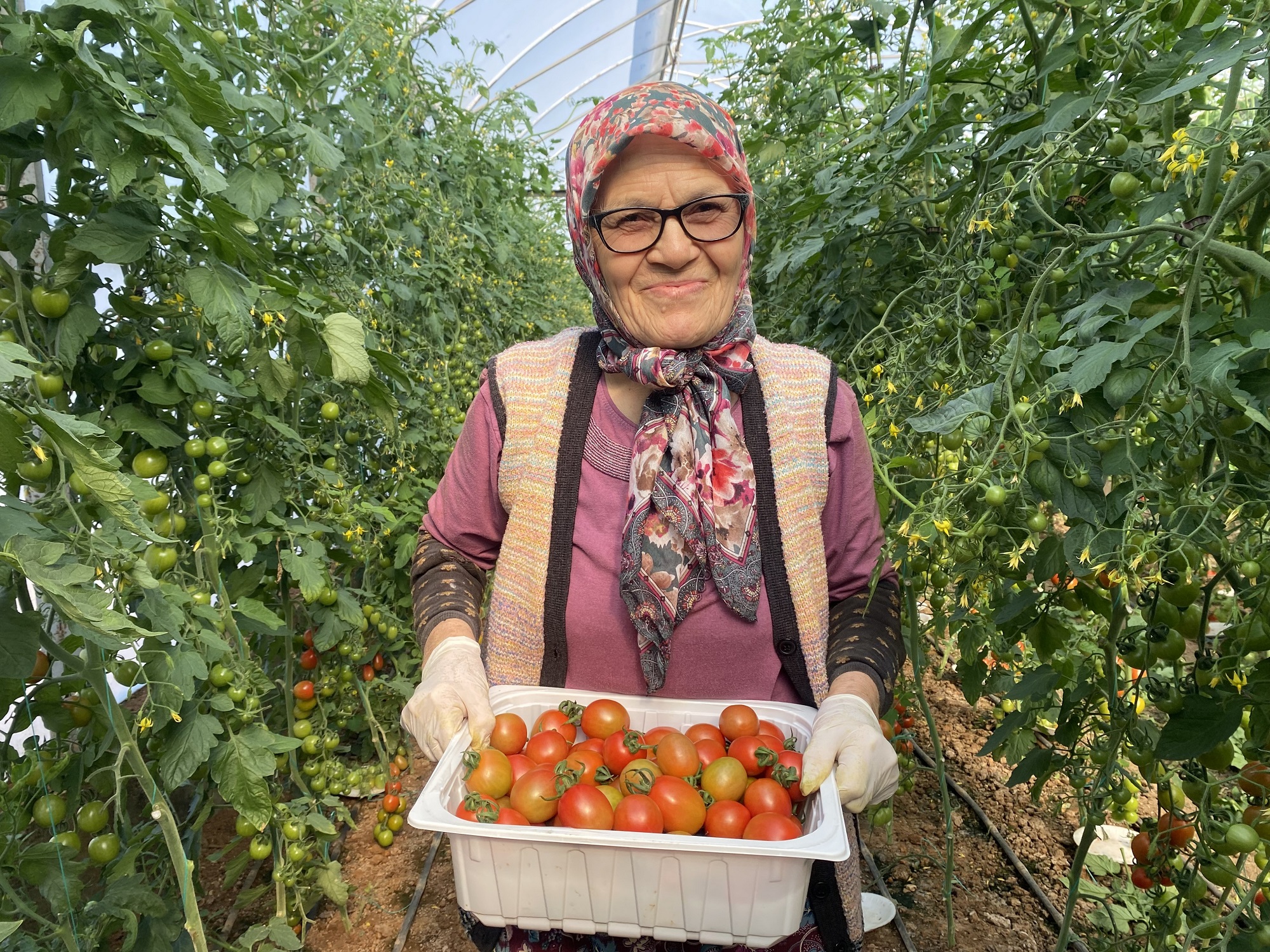 Kocası 5 Çocukla Bırakıp Gitti, 75 Yaşında Serada Çalışıyor (2)