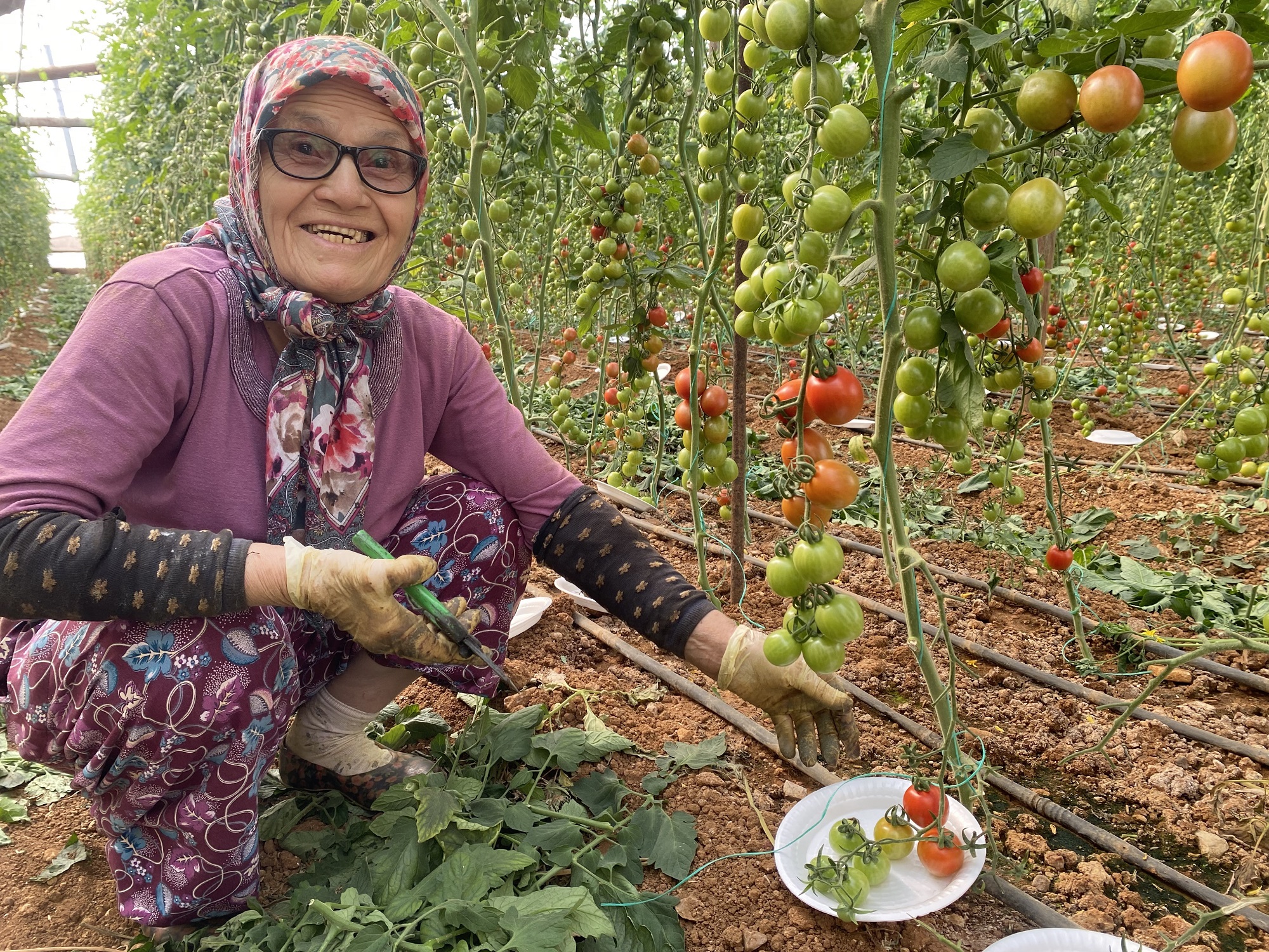 Kocası 5 Çocukla Bırakıp Gitti, 75 Yaşında Serada Çalışıyor