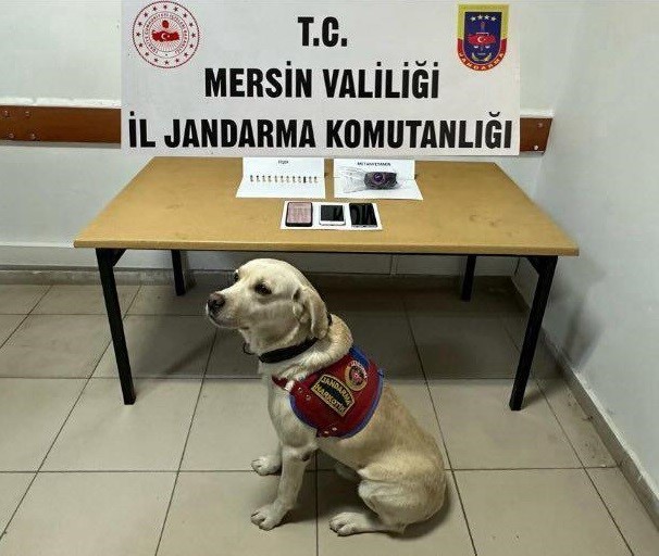 Jandarmadan Zehir Tacirlerine Darbe (3)