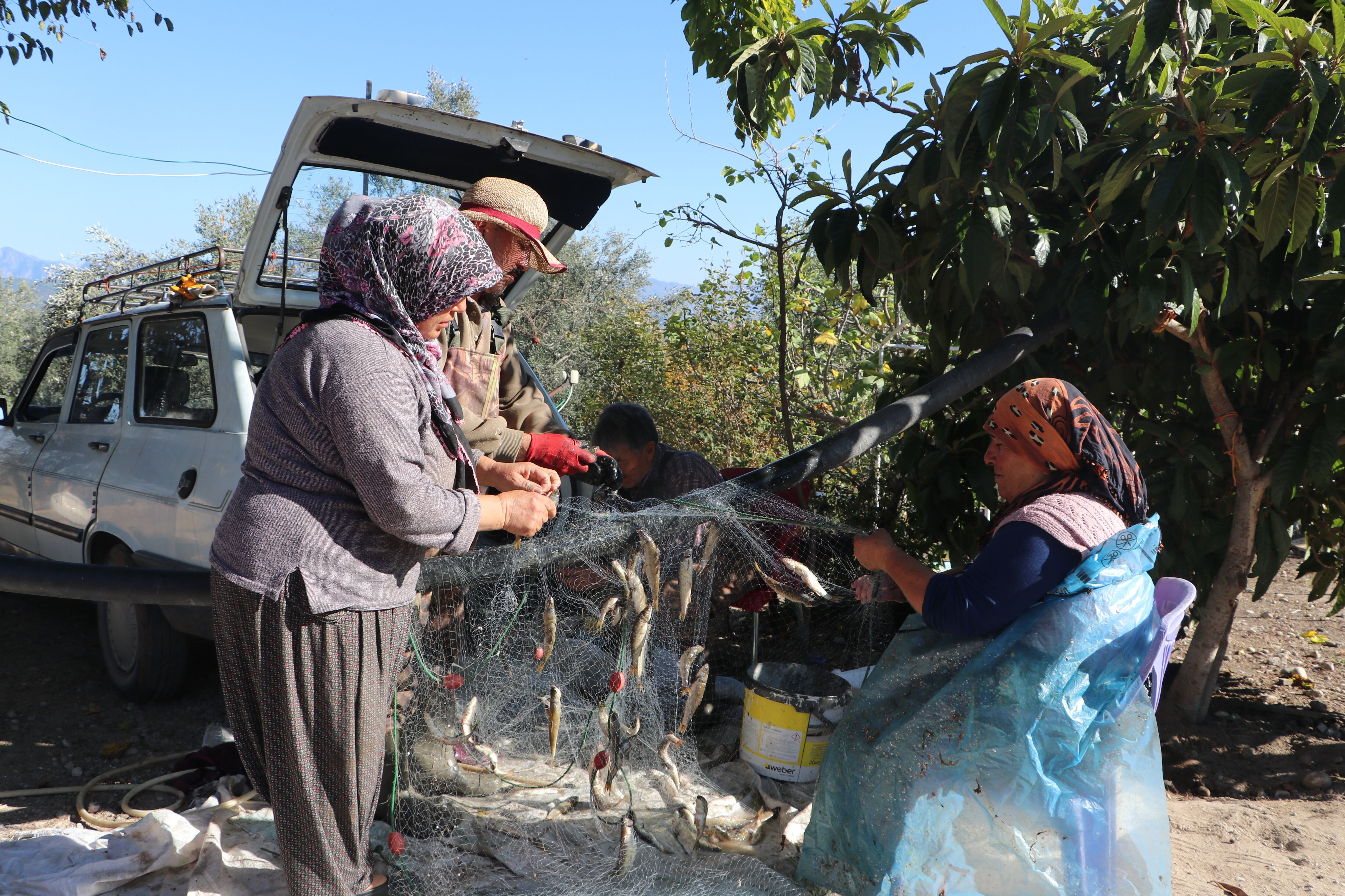 Kahramanmaraşlı Kadın Balıkçılar, Su Altındaki Mahallelerinde Balık Avlıyor (12)