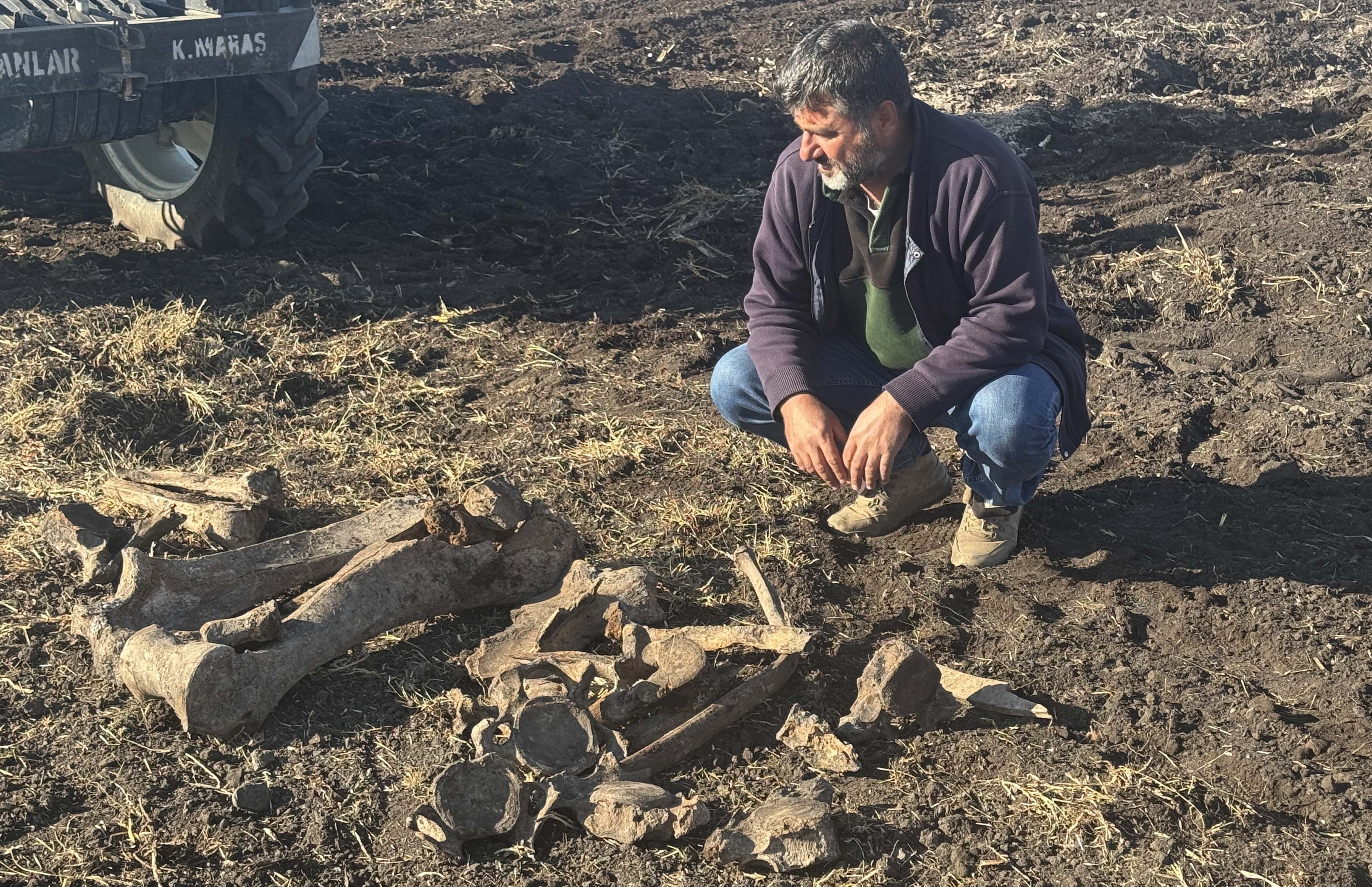 Kahramanmaraş'ta Tarihî Keşif Fil Kemikleri Bulundu (11)