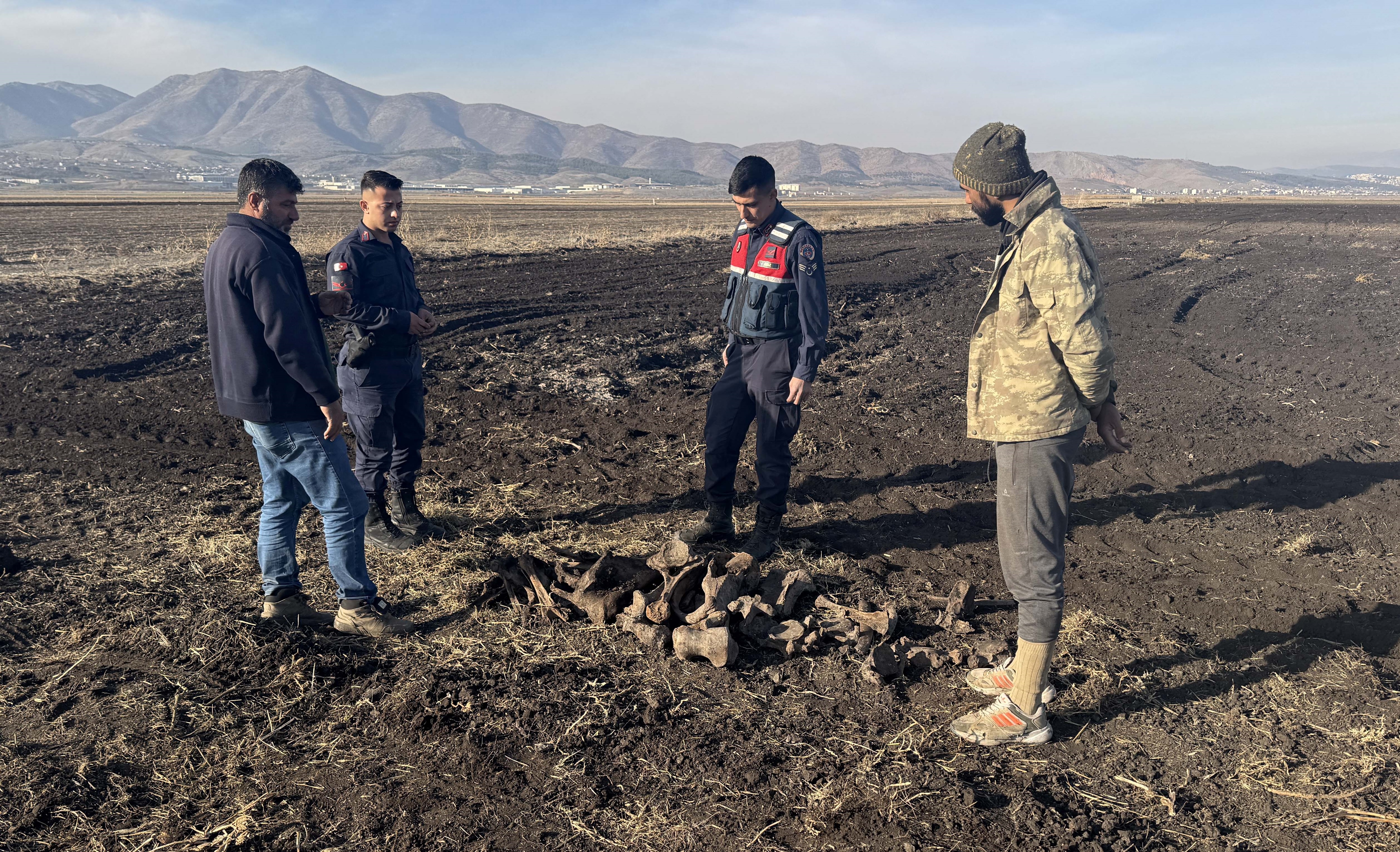 Kahramanmaraş'ta Tarihî Keşif Fil Kemikleri Bulundu (9)