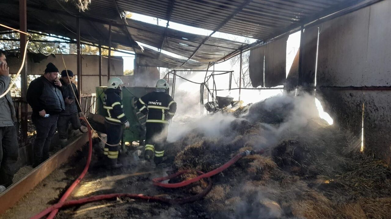 Çiftlik Yangını 100 Saman Balyası Kül Oldu! (4)