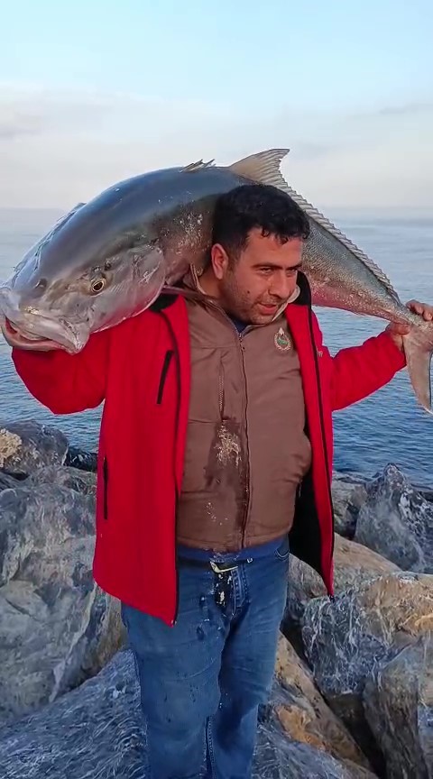 Amatör Balıkçı, 65 Kiloluk 2 Akyayı 18 Bin Tl'ye Sattı (3)