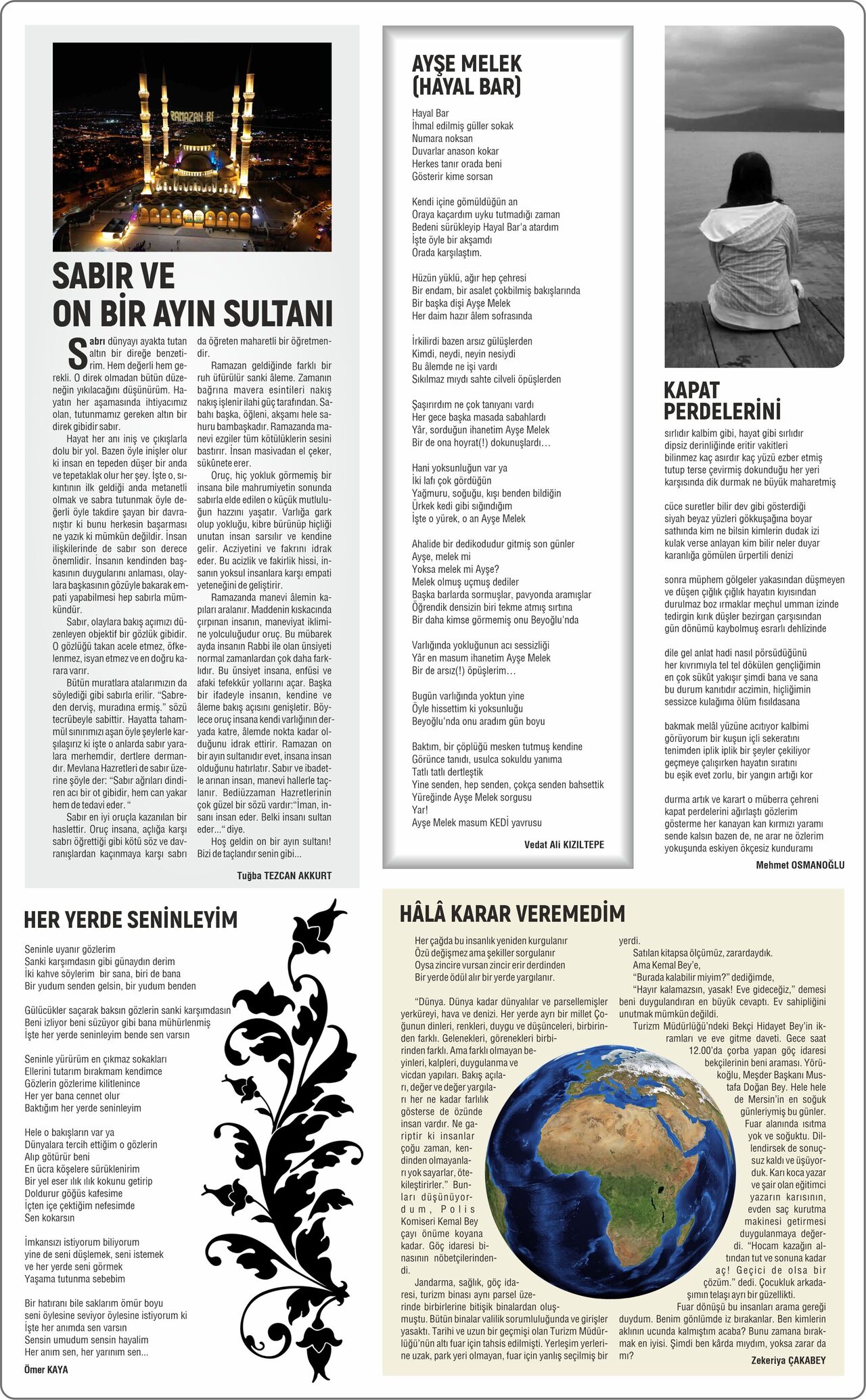 Salkim Söğüt 2-13