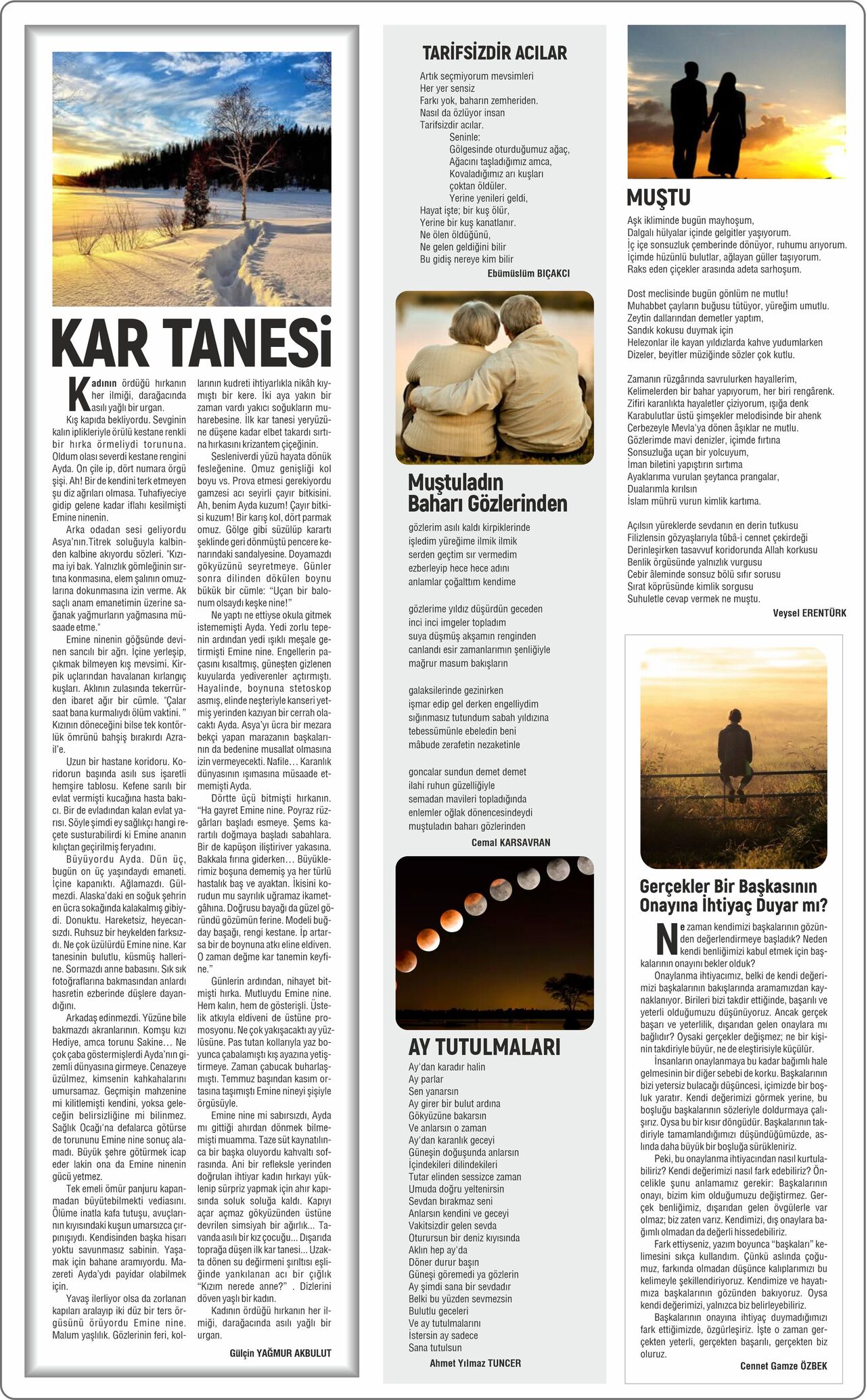 Salkim Söğüt 3-13