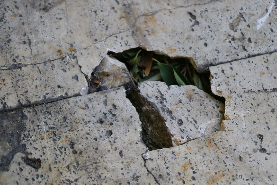 Turistlerin Hayatını Kıl Payı Kurtaran Olay (4)