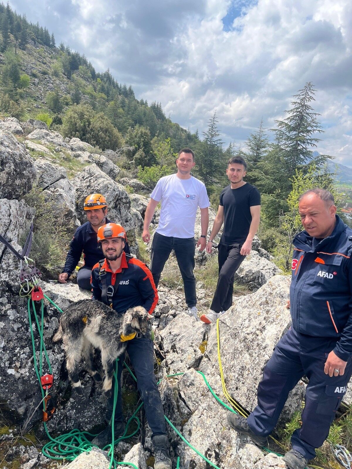 Burdur’da Kayalıkta Mahsur Kalan Keçi Afad Ekipleri Tarafından Kurtarıldı (4)