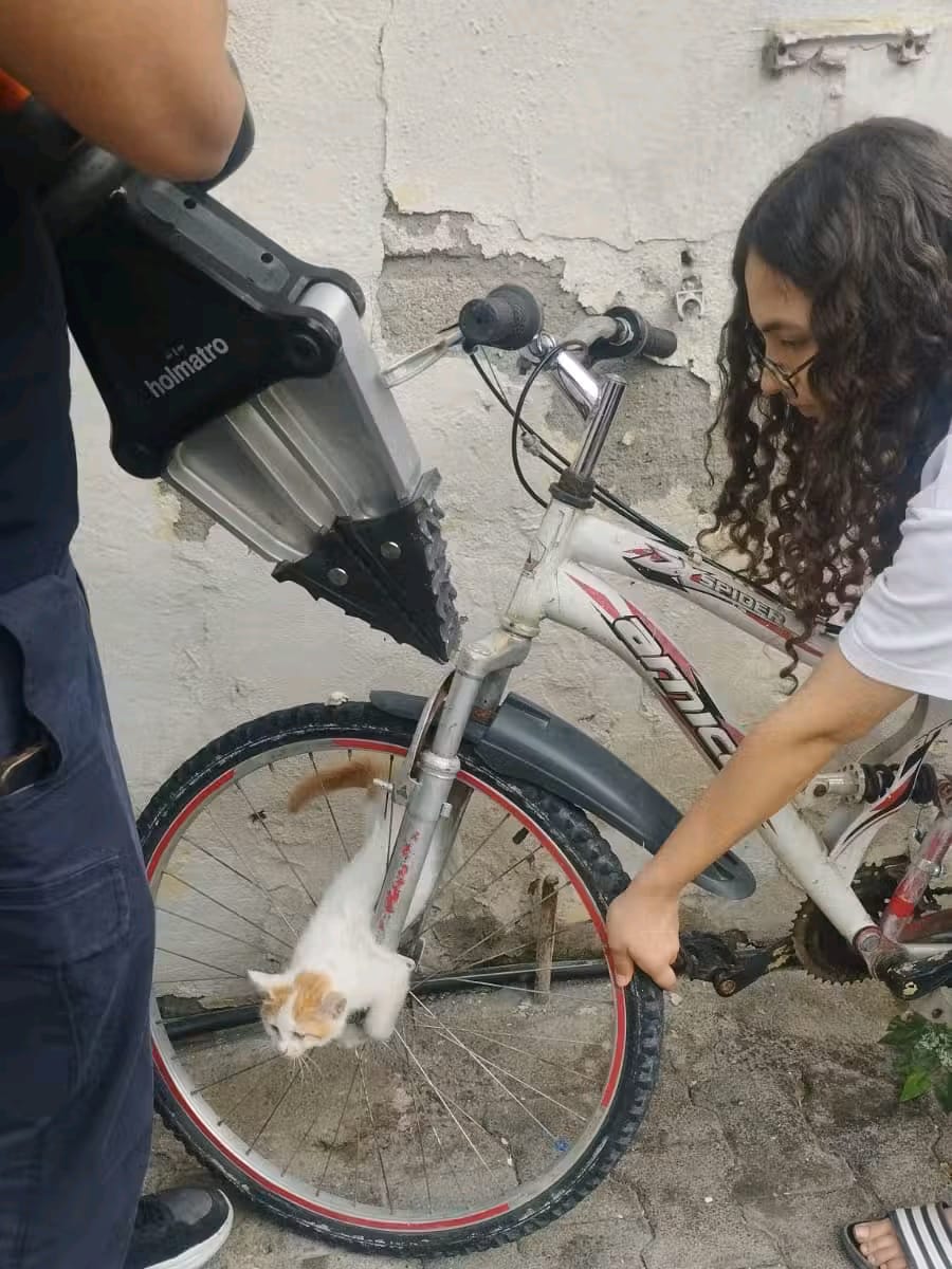 Hatay’da Yavru Kedinin Hayatını İtfaiye Kurtardı Janta Sıkışan Minik Can Son Anda Kurtuldu (1)