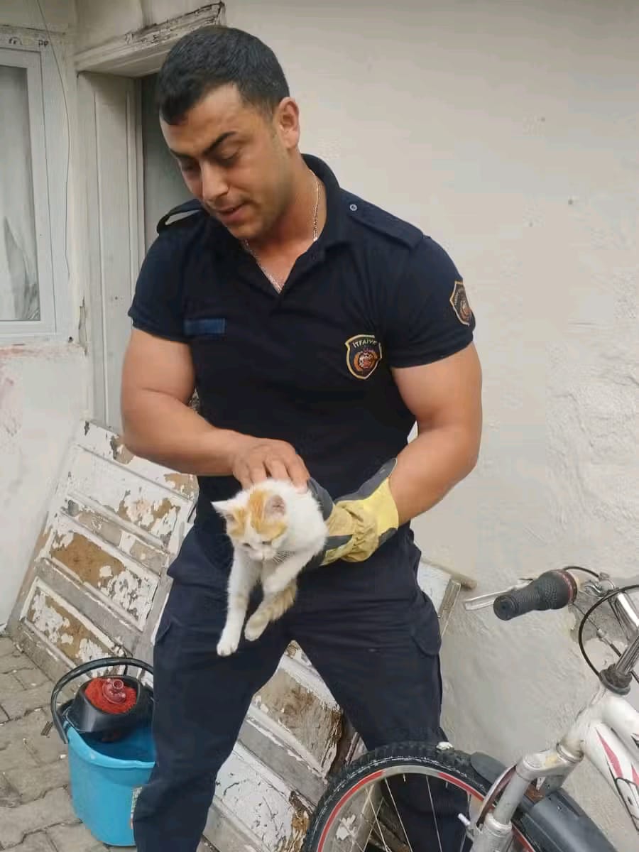 Hatay’da Yavru Kedinin Hayatını İtfaiye Kurtardı Janta Sıkışan Minik Can Son Anda Kurtuldu (4)
