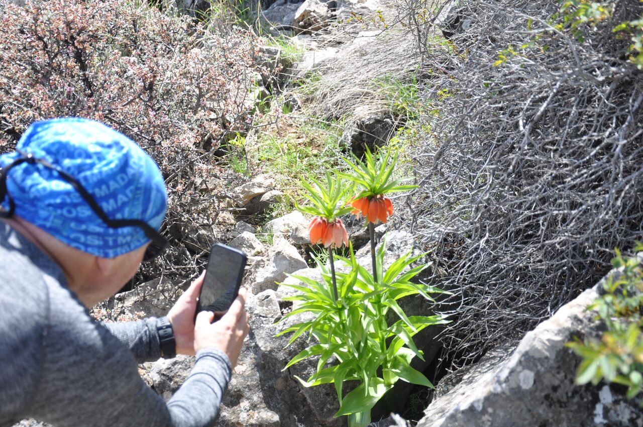 Kahramanmaraş’ta 2.900 Rakımda Doğal Mucize (1)-1