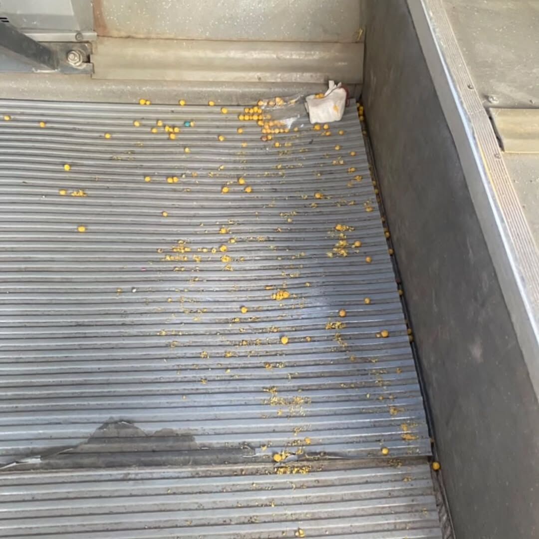 Kahramanmaraş’ta Otobüs Şoförü İsyan Ett