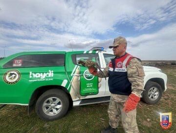 Kahramanmaraş’ta Yaralı Kuşlar Tedavi Altına Alındı (1)