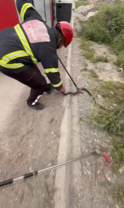 Panoya Giren Yılan, İtfaiyenin Müdahalesiyle Kurtarıldı (3)