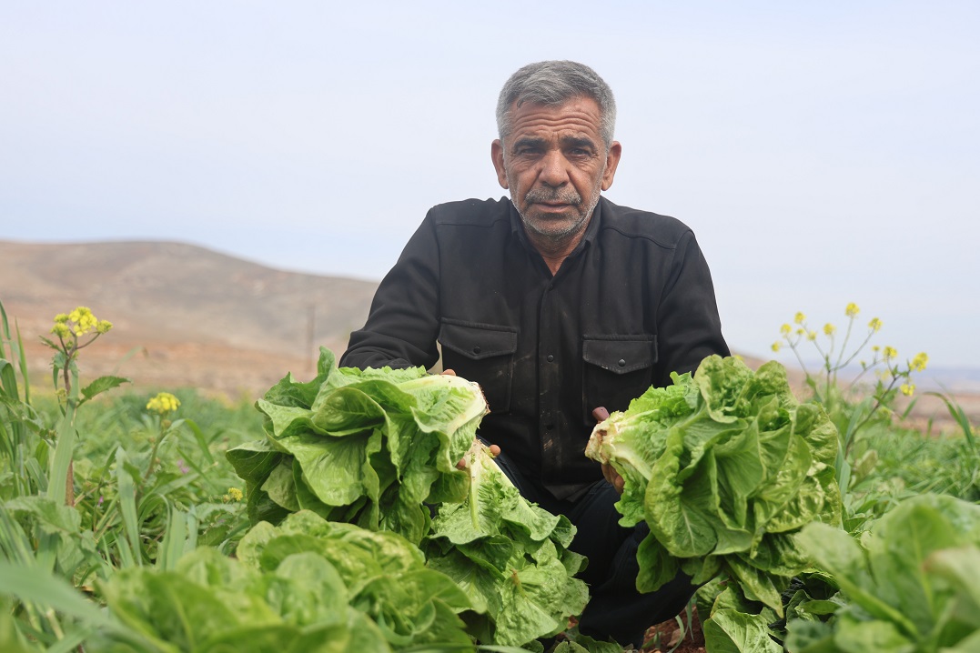 Tarlada 5 Tl, Markette 30 Tl Marulda Büyük Uçurum! (1)