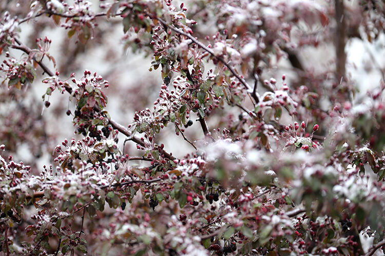 2025 05 14052025 Erzurum2