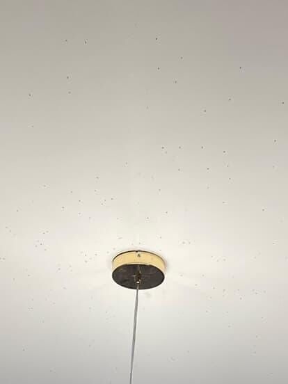 Adana’da Sinek Kabusu Belediyeden Umudu Kesen Vatandaş Sokağını Kendi İlaçladı (3)