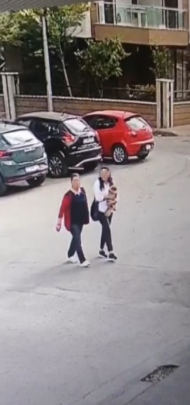 Antalya’da Güzellik Yarışması Şampiyonu Kaybolan Köpek 4 Gün Sonra Bulundu (4)