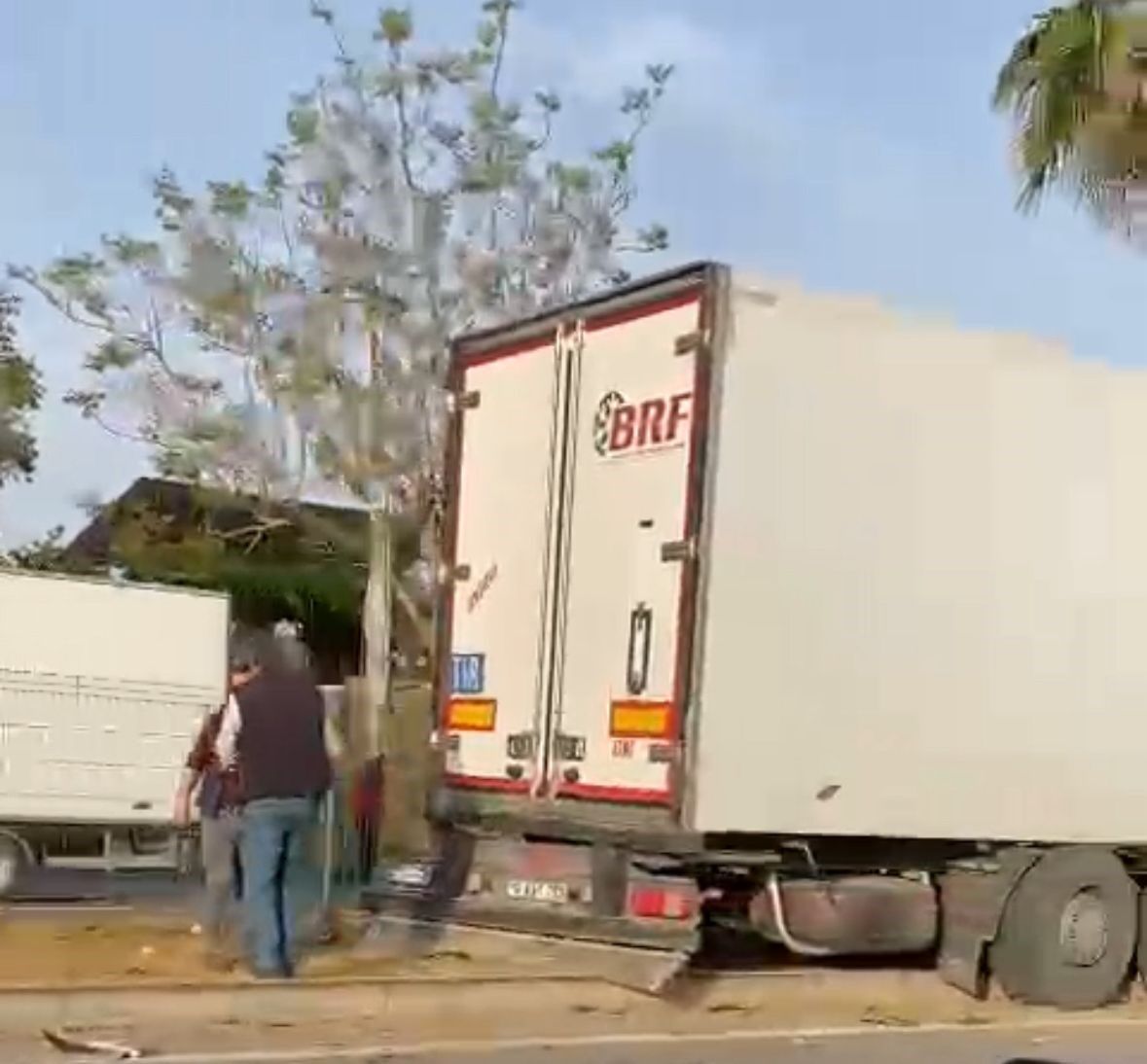 Gazipaşa’da Sebze Yüklü Tır Palmiyeye Çarptı 1 Yaralı (2)