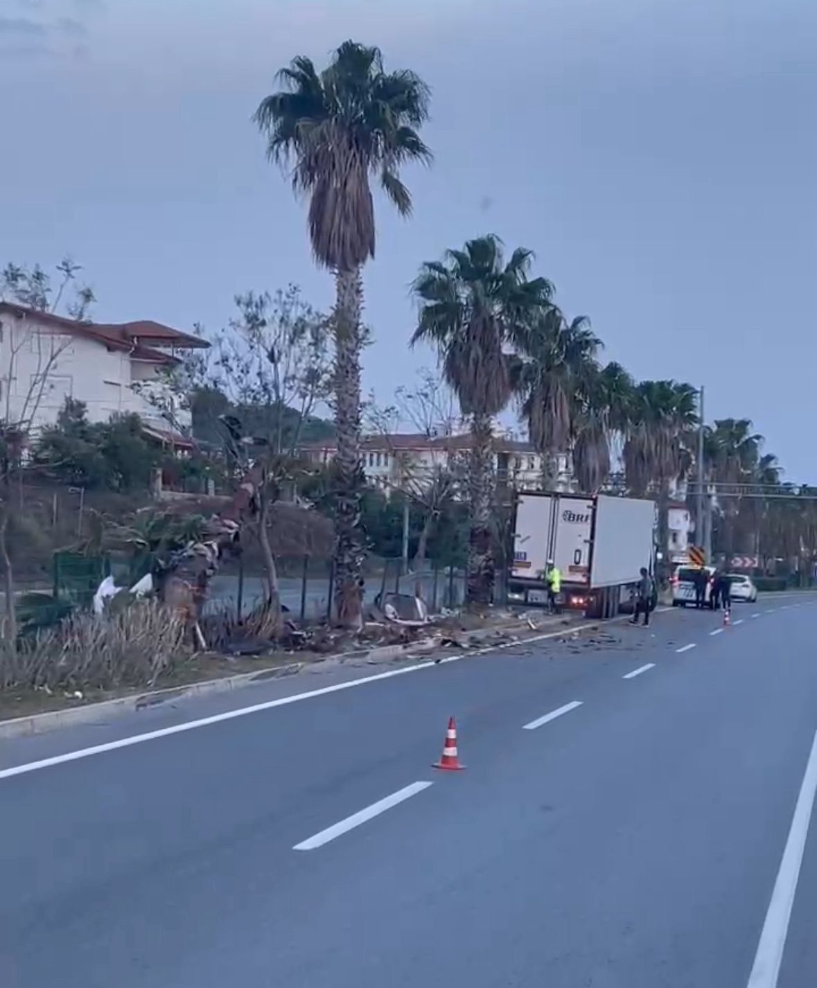 Gazipaşa’da Sebze Yüklü Tır Palmiyeye Çarptı 1 Yaralı (3)