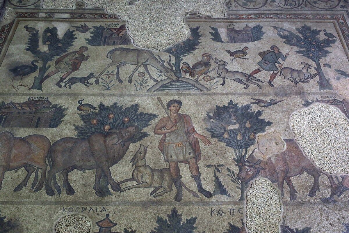 Germanicia Antik Kenti Kahramanmaraş’ın Altında Yatan 1500 Yıllık Mozaik Medeniyeti (3)