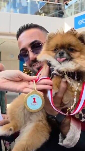 Güzellik Yarışmasında Birinci Olan Köpek Bir Hafta Sonra Sırra Kadem Bastı! (1)