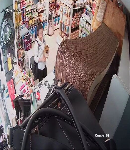 Güzellik Yarışmasında Birinci Olan Köpek Bir Hafta Sonra Sırra Kadem Bastı! (2)