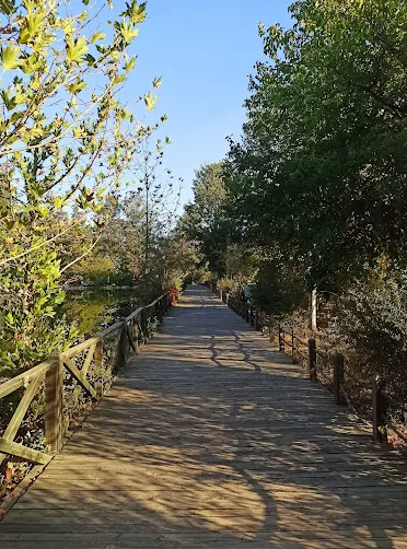 Kahramanmaraş’ın Doğal Cenneti Kapıçam Tabiat Parkı Ve Körçoban Koruma Alanı (1)