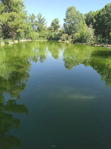 Kahramanmaraş’ın Doğal Cenneti Kapıçam Tabiat Parkı Ve Körçoban Koruma Alanı (3)