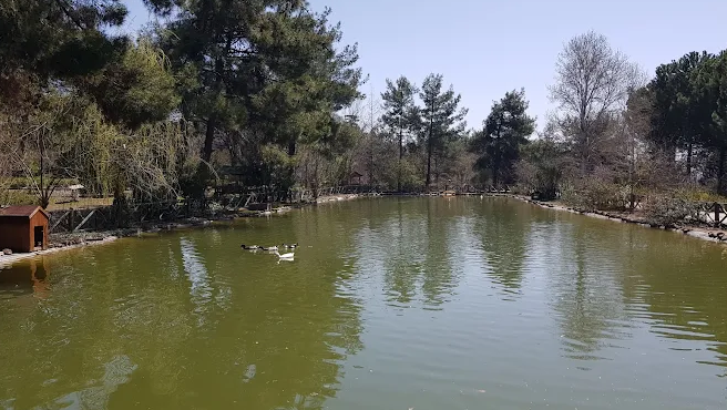 Kahramanmaraş’ın Doğal Cenneti Kapıçam Tabiat Parkı Ve Körçoban Koruma Alanı (4)